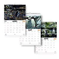 2027 Penguins Wall Calendar