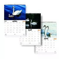 2027 Swan Wall Calendar