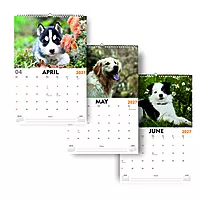2027 Dog Wall Calendar