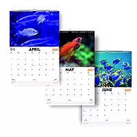 2027 Fish Wall Calendar