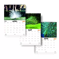 2027 Peacock Wall Calendar