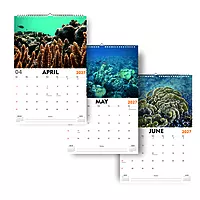 2027 Ocean Wall Calendar