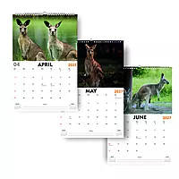2027 Cangaroo Wall Calendar