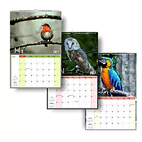 2026 Exotic Birds Wall Calendar