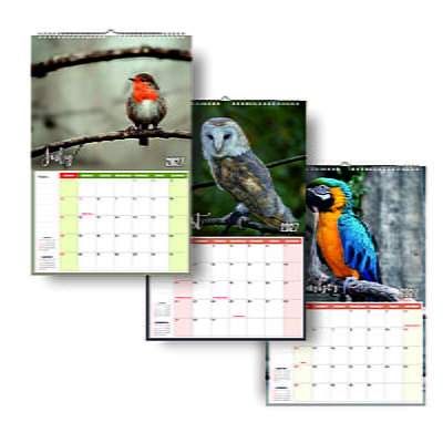 2026 Exotic Birds Wall Calendar