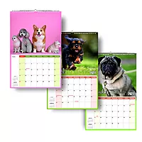 2027 Cute Dogs Wall Calendar