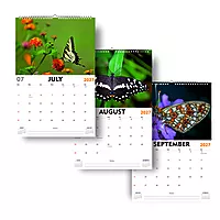2027 ButterFly Wall Calendar