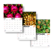2027 Juicy Fruits Wall Calendar