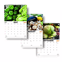 2027 Veggies Wall Calendar