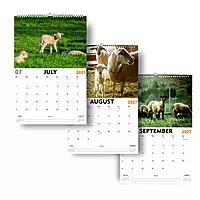 2027 Sheeps Wall Calendar