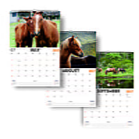 2027 Horse Wall Calendar