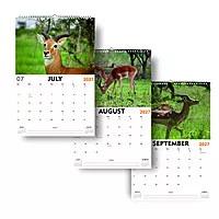 2027 Deer Wall Calendar