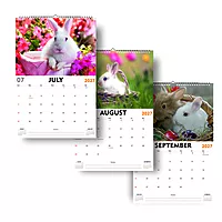 2027 Rabit Wall Calendar