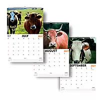2027 Cow Wall Calendar