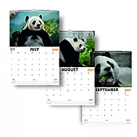 2027 Panda Wall Calendar