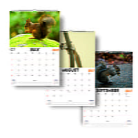 2027 Squirrel Wall Calendar
