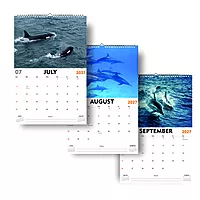 2027 Dolphin Wall Calendar