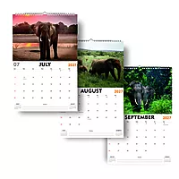 2027 Elephant Wall Calendar