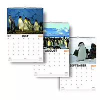 2027 Penguins Wall Calendar