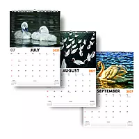 2027 Swan Wall Calendar