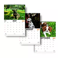 2027 Dog Wall Calendar