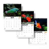2027 Fish Wall Calendar