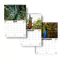 2027 Peacock Wall Calendar