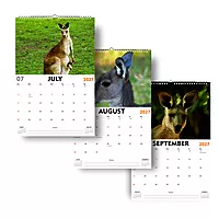 2027 Cangaroo Wall Calendar