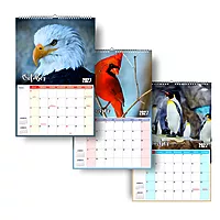 2026 Exotic Birds Wall Calendar