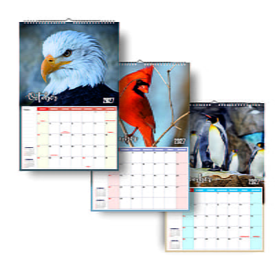 2026 Exotic Birds Wall Calendar