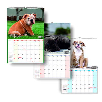 2027 Cute Dogs Wall Calendar