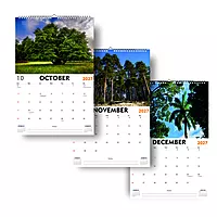 2027 Seasons Wall Calendar