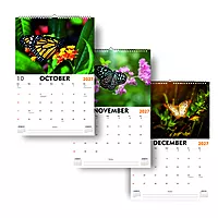 2027 ButterFly Wall Calendar