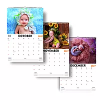 2027 Baby Bliss Wall Calendar