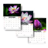 2027 Lotus Flowers Wall Calendar