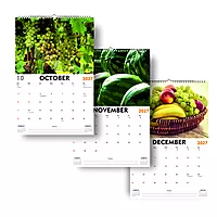 2027 Fruits Wall Calendar