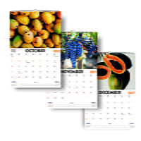 2027 Juicy Fruits Wall Calendar