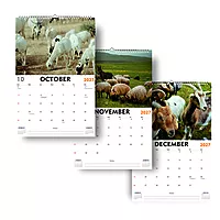 2027 Sheeps Wall Calendar