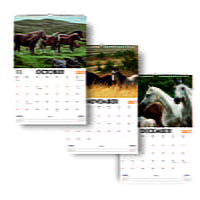 2027 Horse Wall Calendar