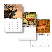 2027 Deer Wall Calendar