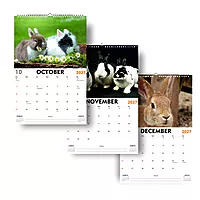 2027 Rabit Wall Calendar