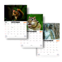 2027 Squirrel Wall Calendar