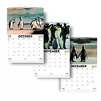 2027 Penguins Wall Calendar