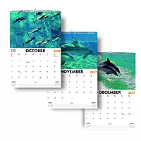 2027 Swan Wall Calendar