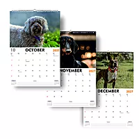 2027 Dog Wall Calendar