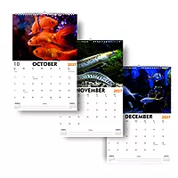 2027 Fish Wall Calendar