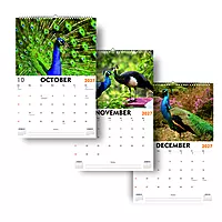 2027 Peacock Wall Calendar