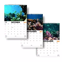 2027 Ocean Wall Calendar