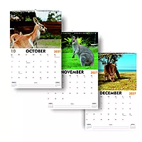2027 Cangaroo Wall Calendar