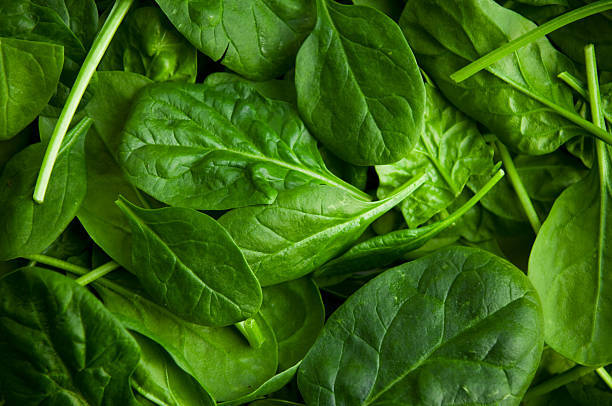 Palak – Fresh, Green & Nutrient-Rich Spinach